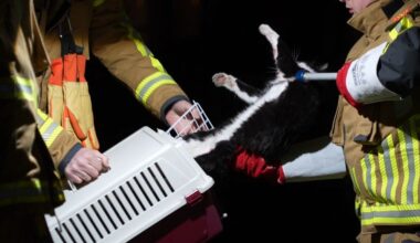 reis van 70 kilometer onder motorkap van Utrecht naar Purmerend