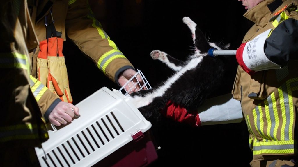 reis van 70 kilometer onder motorkap van Utrecht naar Purmerend