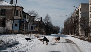 Rusland neemt opnieuw stadje in Oekraïense regio Donetsk in