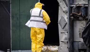 Opnieuw vogelgriep in Limburg, bijna 100.000 leghennen afgemaakt