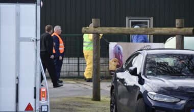 Vogelgriep slaat voor derde keer toe rond Ysselsteyn, getroffen bedrijven liggen dicht bij elkaar