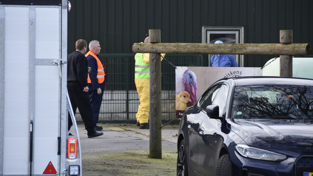 Vogelgriep slaat voor derde keer toe rond Ysselsteyn, getroffen bedrijven liggen dicht bij elkaar