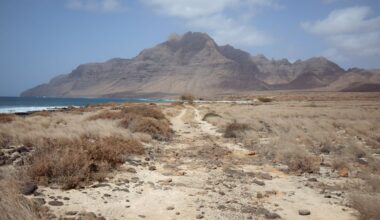 Duitser die wordt verdacht van moord op zijn gezin aangehouden in Lissabon