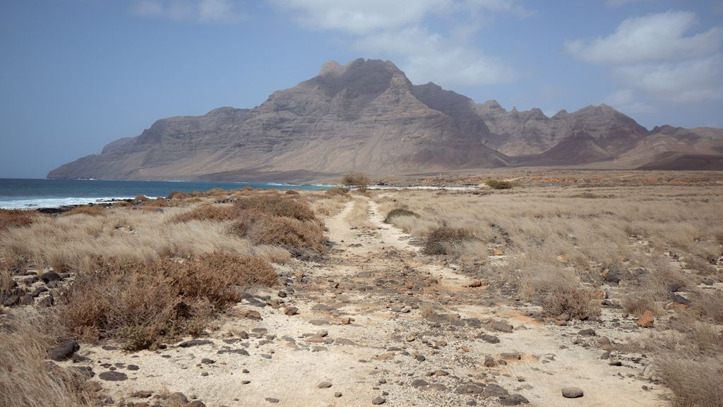 Duitser die wordt verdacht van moord op zijn gezin aangehouden in Lissabon