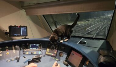 kat Jack pakte laatste trein naar Schiphol