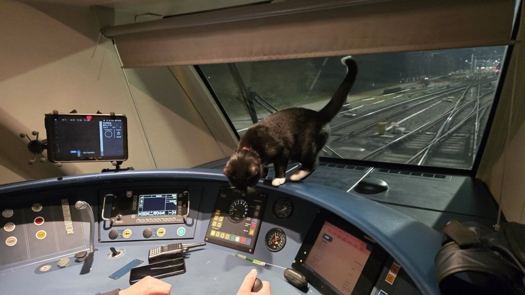 kat Jack pakte laatste trein naar Schiphol