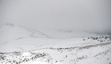 Vier vermisten dood gevonden in Grieks gebergte: omgekomen door lawine
