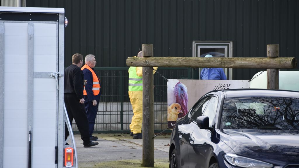 Opnieuw vogelgriep bij pluimvee in Ysselsteyn, derde uitbraak in korte tijd