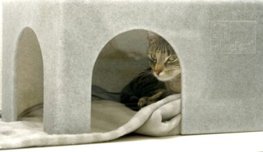 Honderden miljoenen nagelaten aan goede doelen, nabestaanden niet altijd blij