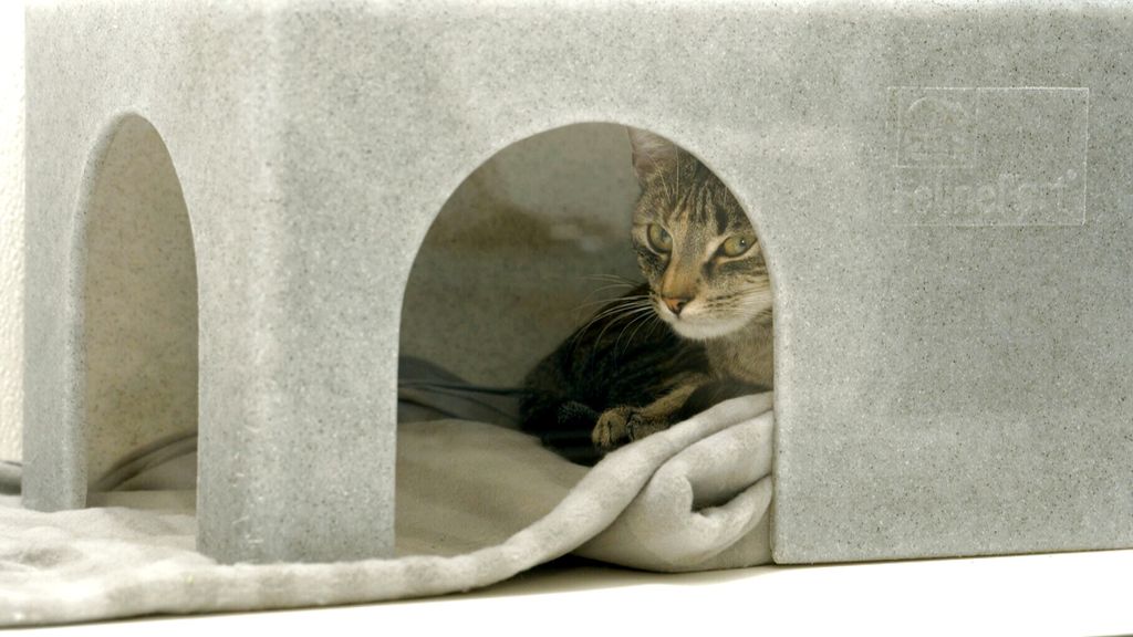 Honderden miljoenen nagelaten aan goede doelen, nabestaanden niet altijd blij