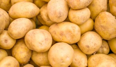 Aardappelprijs in vrije val: wordt je frietje bij de snackbar straks goedkoper? - L1 Nieuws