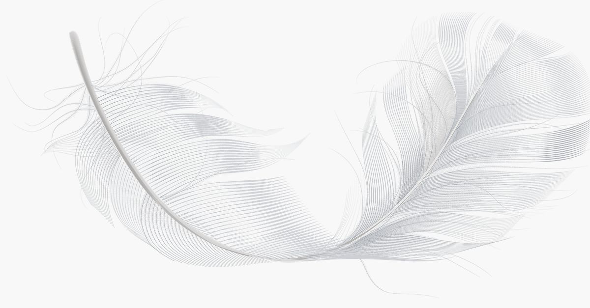 Favoriete lichte boeken van NRC-redacteuren.