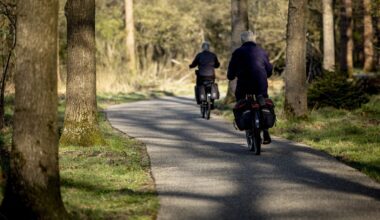 Gelderse probleemwolf ‘Hubertus de Martelaar’ mag (voorlopig) blijven leven