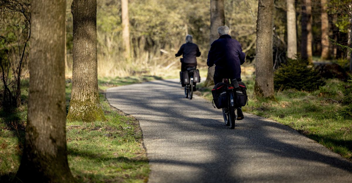 Gelderse probleemwolf ‘Hubertus de Martelaar’ mag (voorlopig) blijven leven