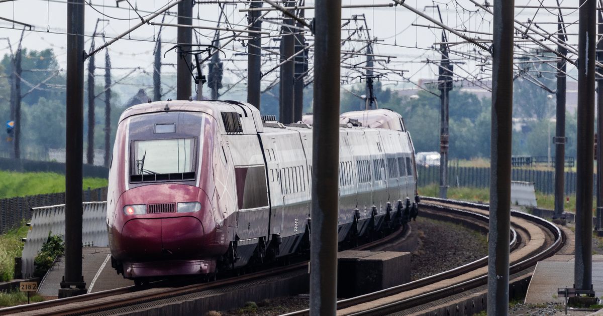 Constructiefouten op HSL-spoor leggen treinverkeer wekenlang plat - Rijnmond