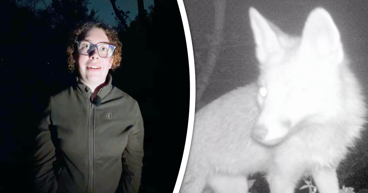 Horrorgeluiden, fietsende blote mannen en jonge stelletjes betrappen: boswachters maken ’s nachts van alles mee