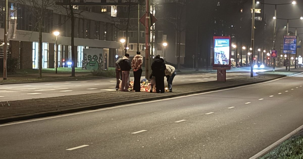 112 nieuws: Bloemen na dodelijk ongeluk | Steekincident gemeld in Schalkwijk | Slang in bushalte