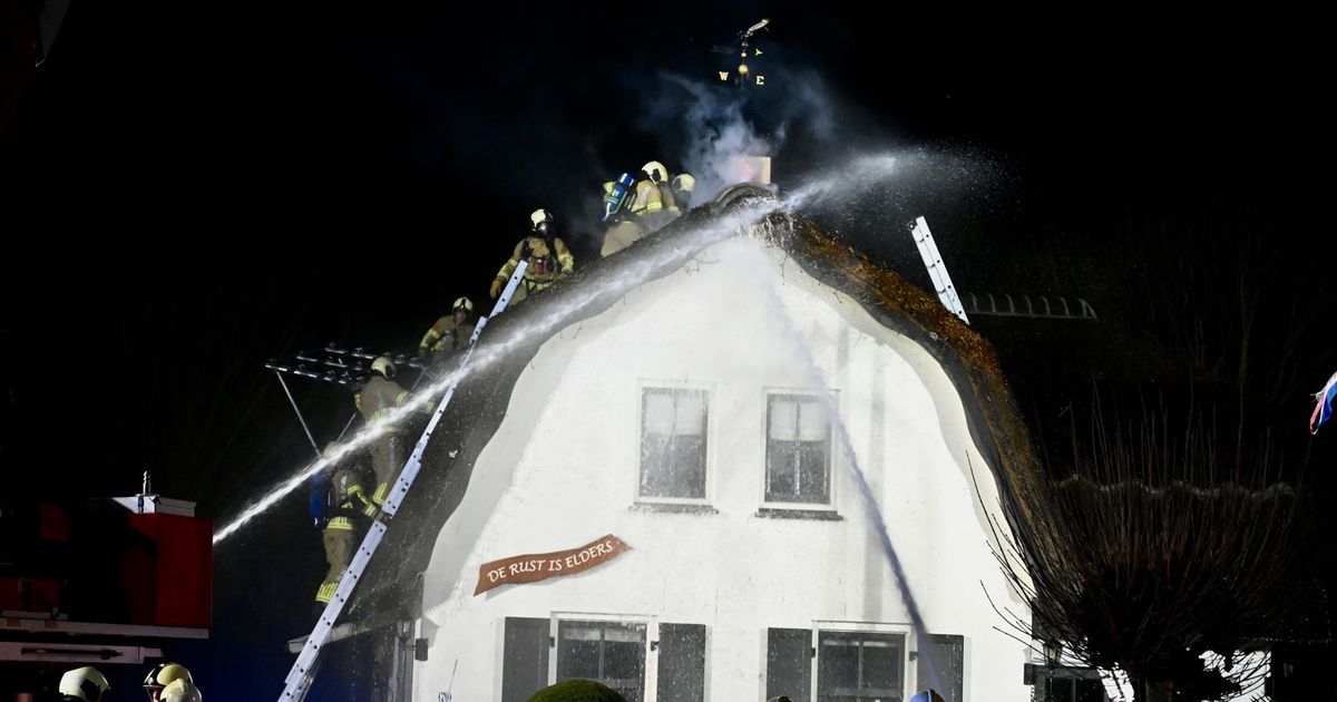 Woningbranden tijdens Kerstmis in Benschop, Baarn en Zeist: katten komen goed weg - RTV Utrecht