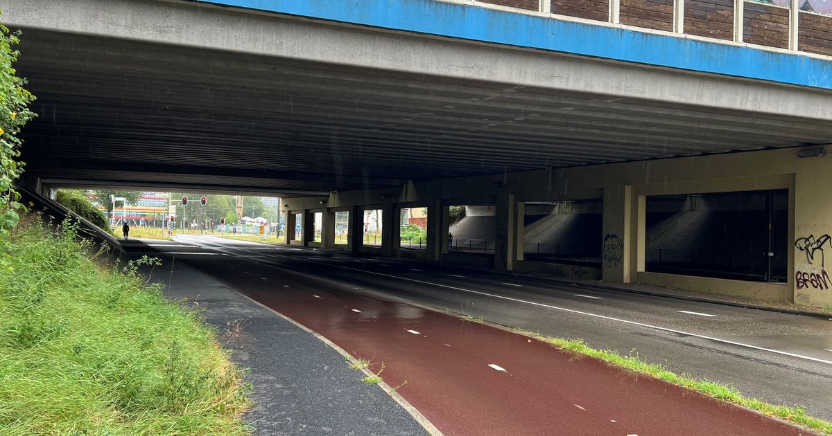 OM eist 4 jaar cel en tbs tegen ex-tbs'er na aanvallen op Utrechtse vrouwen: 'Wilde hen verkrachten' - RTV Utrecht