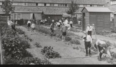 Geschiedenis van het stadsgroen: van getemde wildernis tot ecologisch denken