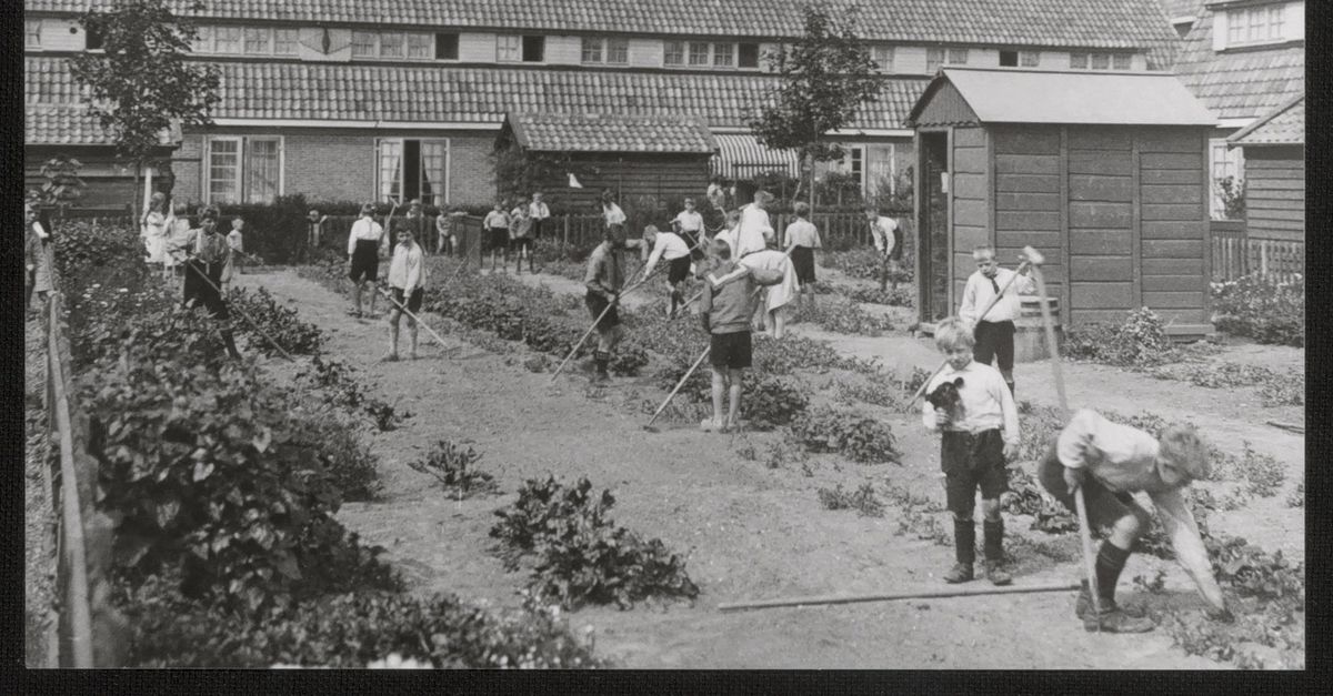 Geschiedenis van het stadsgroen: van getemde wildernis tot ecologisch denken