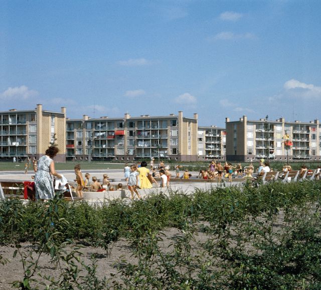 Het Tolsteegplantsoen uit de jaren vijftig, een groene wijk, gefotografeerd door directeur plantsoenendienst J.P. van Alff.