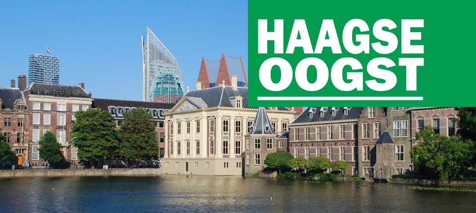 Haagse Oogst: Wiersma haalt bakzeil, steun aan BBB brokkelt af