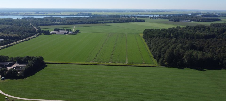 Kabinet kiest definitief voor kazerne aan Spiekweg bij Zeewolde