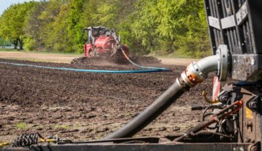 Veehouder betaalt belangrijk deel van inkomen akkerbouwer