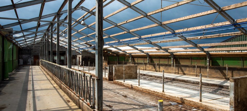 450 veehouders haken af bij beëindigingsregelingen