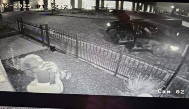 ‘Het stond in een afgesloten tuin, voorzien van camera’s en het weegt zéker 150 kilo’ - Adverteren Boxmeer | De Maas Driehoek