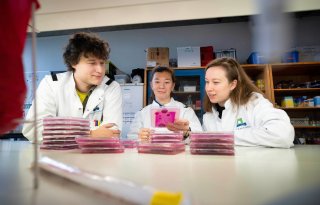 De resistente schimmel Aspergillus fumigatus wordt vaker gevonden in de lucht in glastuinbouw- en bollengebieden.