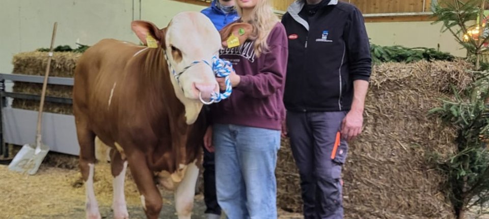 Fleckvieh-stier verlaat Duitse veiling voor 166.000 euro