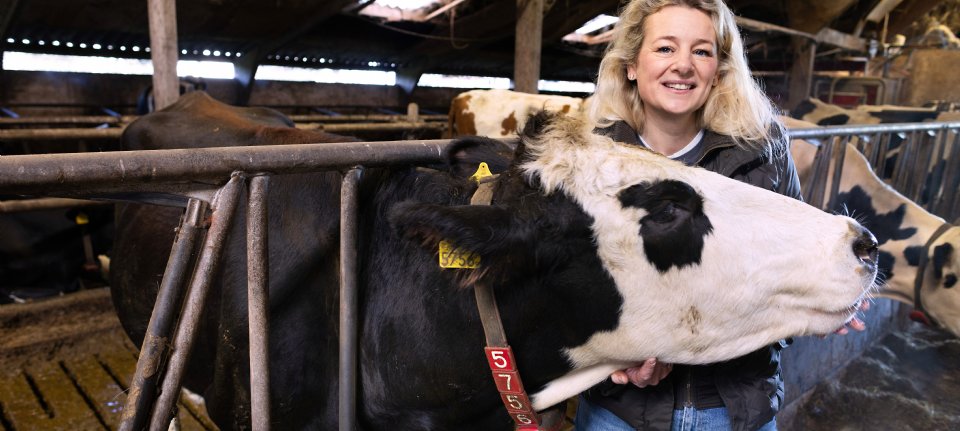 Melkveehouder Uitentuis: 'Ook veel buiten bedrijf actief, omdat het bij ons kan'