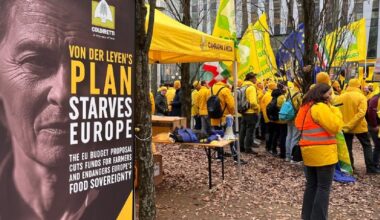 Boeren weer de straat op tegen Mercosur, Von der Leyen mikpunt