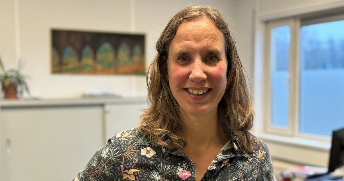 VluchtelingenWerk stopt met 'gezinshereniging': "Dit zal voor niemand een oplossing zijn"