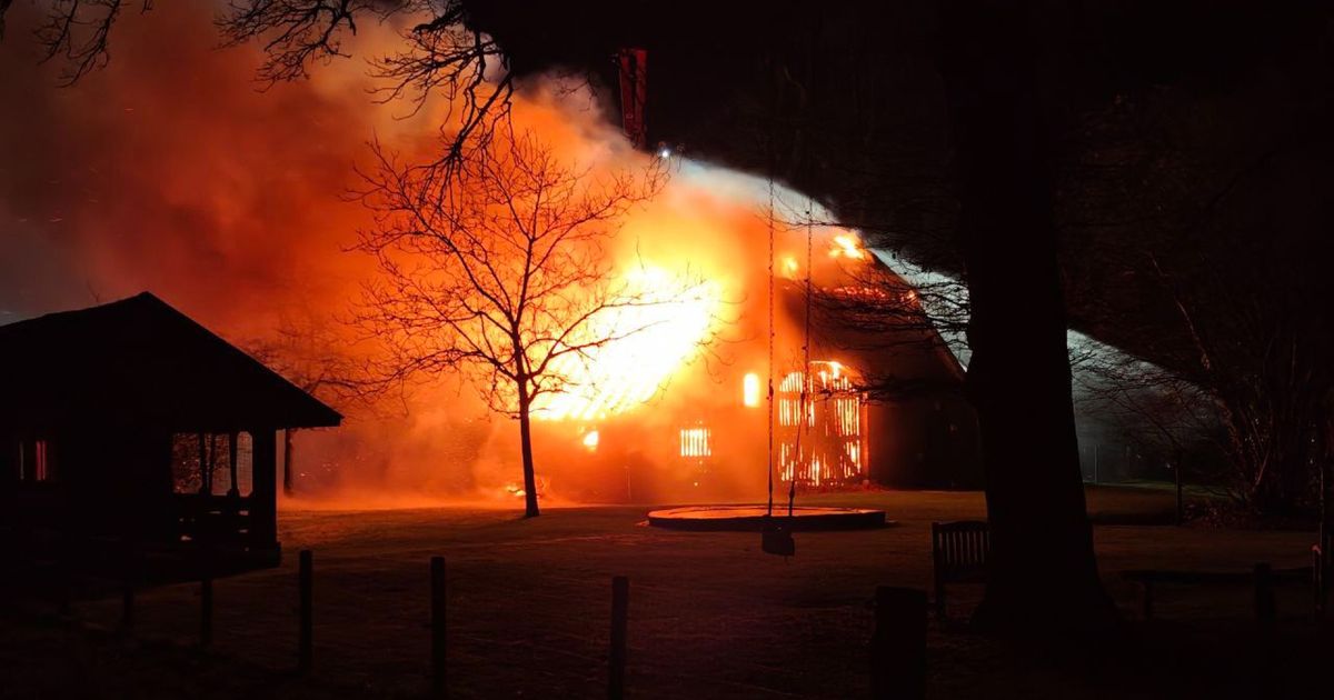 Brand in een woning met rieten dak, twee honden gered