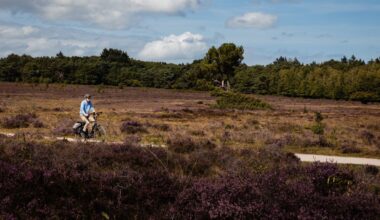 Nu volgt de serieuze sprong in het diepe: 24 pensioenfondsen stappen over naar het nieuwe stelsel