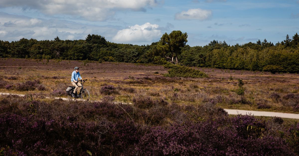 Nu volgt de serieuze sprong in het diepe: 24 pensioenfondsen stappen over naar het nieuwe stelsel