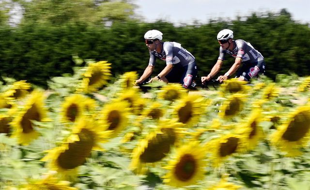 Het vluchtende duo rijdt langs een zonnebloemenveld in de 170 kilometer tellende etappe van Chinon naar Chateauroux.