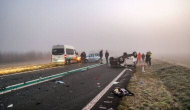 Meerdere voertuigen betrokken bij ongeval op N391 bij Roswinkel