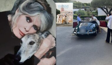 Maastrichtse die hond Brigitte Bardot vastlegde in fotoboek: 'De Whiskas stond tot aan het plafond'
