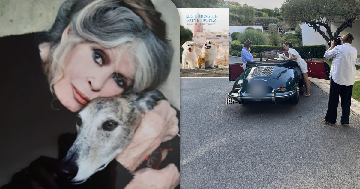 Maastrichtse die hond Brigitte Bardot vastlegde in fotoboek: 'De Whiskas stond tot aan het plafond'