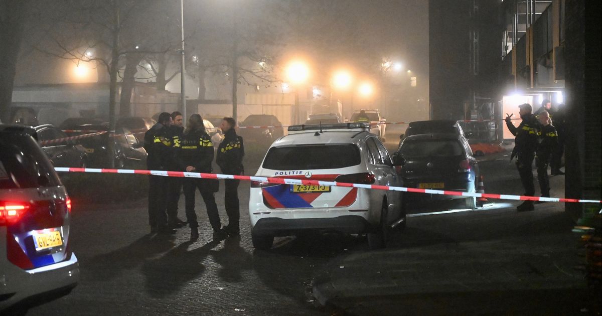 Drie mannen opgepakt na schietincident in Vianen - RTV Utrecht