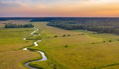 Bijna geen ruimte voor recreatie in nieuwe natuur Keningsdjip