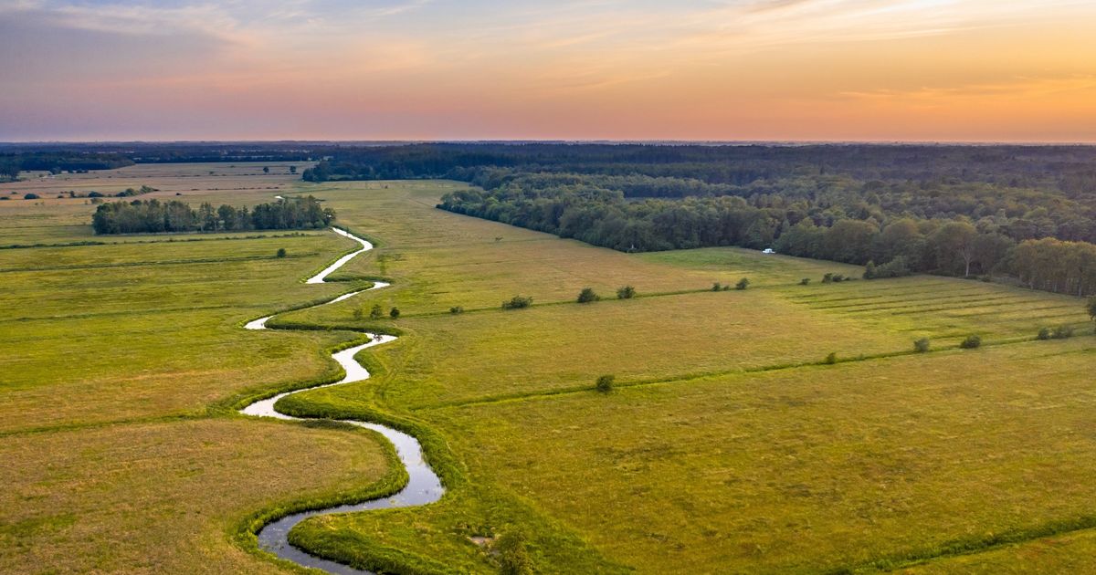 Bijna geen ruimte voor recreatie in nieuwe natuur Keningsdjip