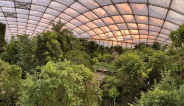 Vermoedelijke vogelgriepuitbraak sluit een van Europa’s grootste tropenhallen