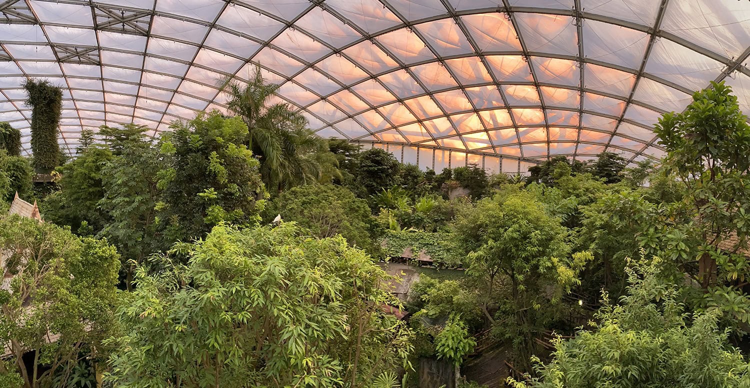 Vermoedelijke vogelgriepuitbraak sluit een van Europa’s grootste tropenhallen