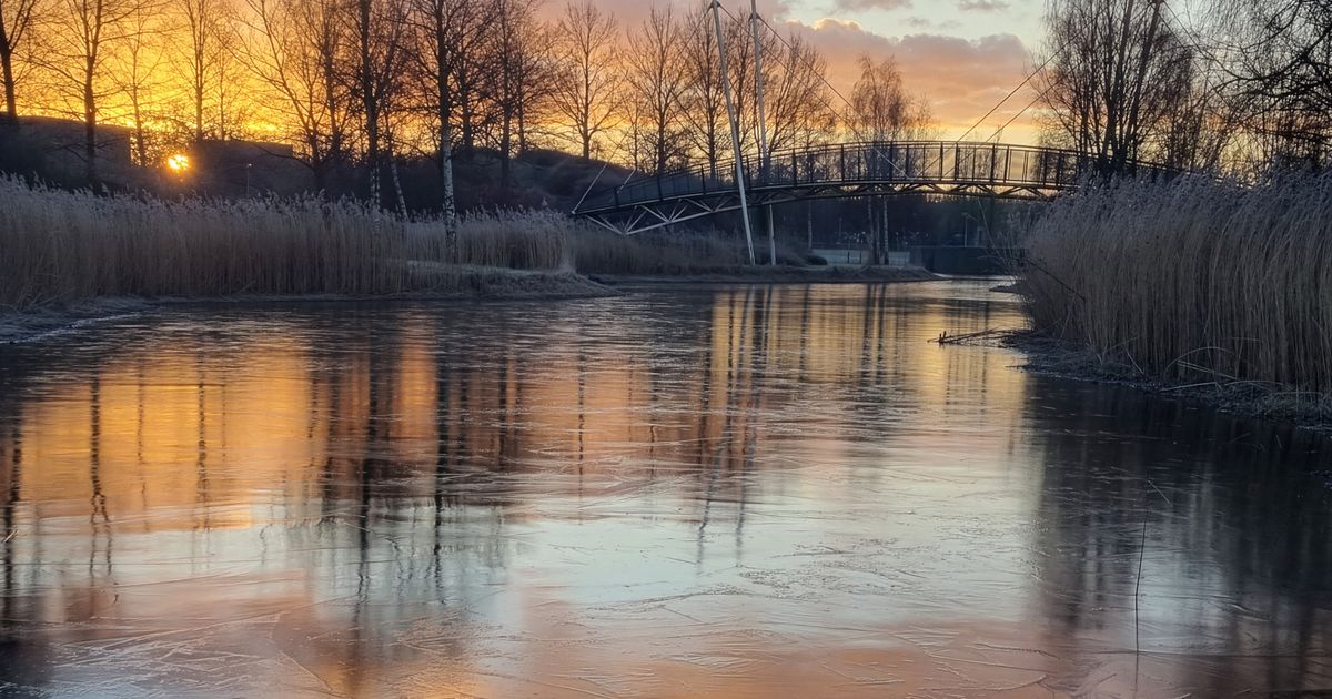 Het wordt koud! Koudste kerst in 15 jaar op komst - Rijnmond