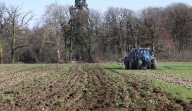 Foto van Wim van Gruisen